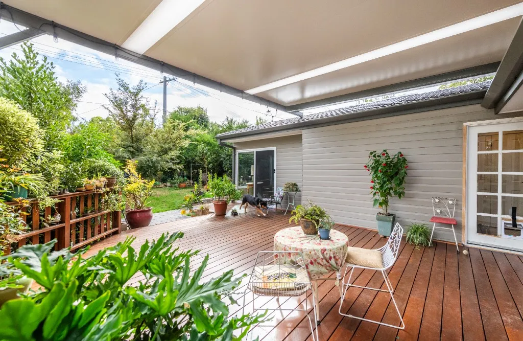 Timber deck with dog and outdoor furniture